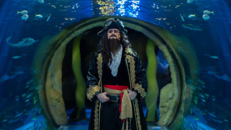 SEA LIFE Orlando