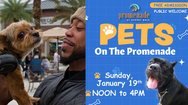 Sunset Walk to Hold 5th Annual “Pets on the Promenade
