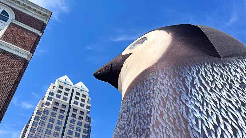 Penguins downtown Orlando