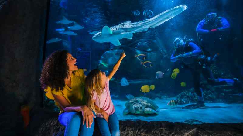 SEA LIFE Orlando 