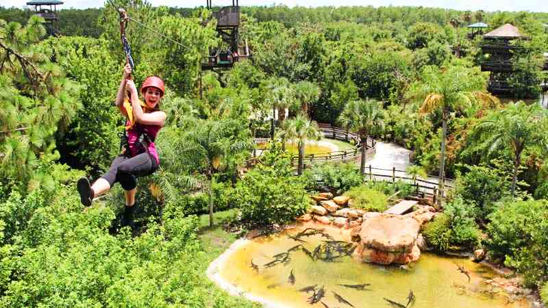 Screamin’ Gator Zipline