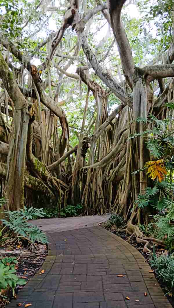 Cypress Gardens