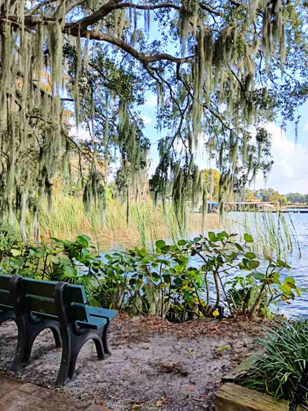 Cypress Gardens