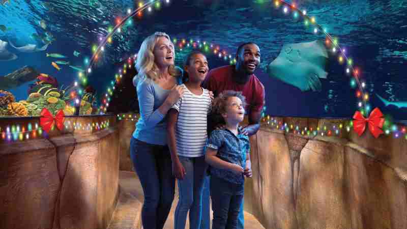 SEA LIFE Orlando
