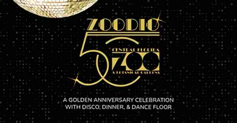 Zoodio 50 Disco Party
