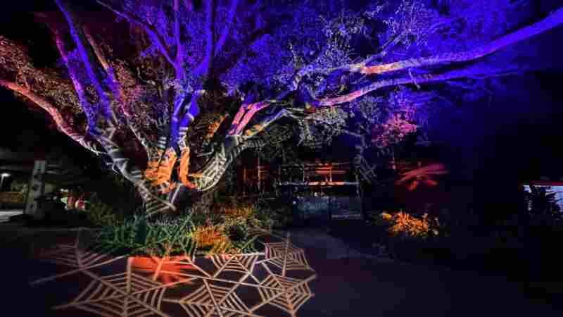 Brick or Treat - LEGOLAND Florida
